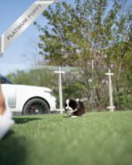 PANDA - FEMALE (PURCHASED by KATHY) - Image 7