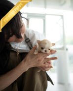 LOLA - FEMALE (PURCHASED by BETH) - Image 3