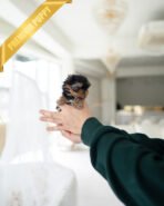 MAGGIE - FEMALE (PURCHASED by ANONYMITY)