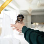 MAGGIE - FEMALE (PURCHASED by ANONYMITY)