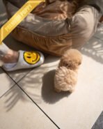 DOLLY - FEMALE (PURCHASED by ANA) - Image 8