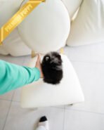 THOR - MALE (PURCHASED by ANONYMOUS) - Image 8