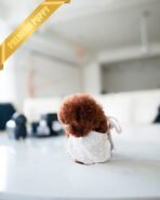 DAPHNE  - FEMALE (PURCHASED by KARLA) - Image 7