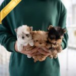 NEW BABIES - FEMALE (PURCHASED by ELISE & CYNTHIA)