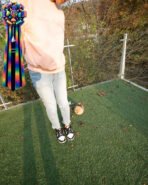 POMY - FEMALE (PURCHASED by ROSEN) - Image 8