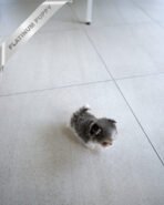 MARCO - MALE (PURCHASED by MICHAEL) - Image 7