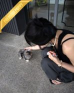 BENTLEY - MALE (PURCHASED by HEATHER) - Image 8