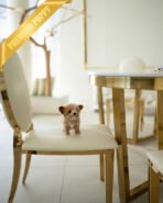 DOLORES - FEMALE (PURCHASED by MELBOURNE) - Image 9