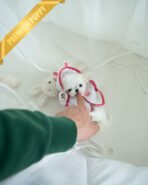 MOLLY - FEMALE (PURCHASED by LILA) - Image 3