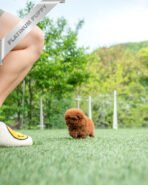 JESSICA - FEMALE (PURCHASED by ALICE) - Image 5