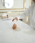 ESME - FEMALE (PURCHASED by KIM) - Image 5