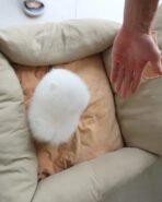 SNOW BALL - FEMALE (PURCHASED by JIAYING) - Image 4